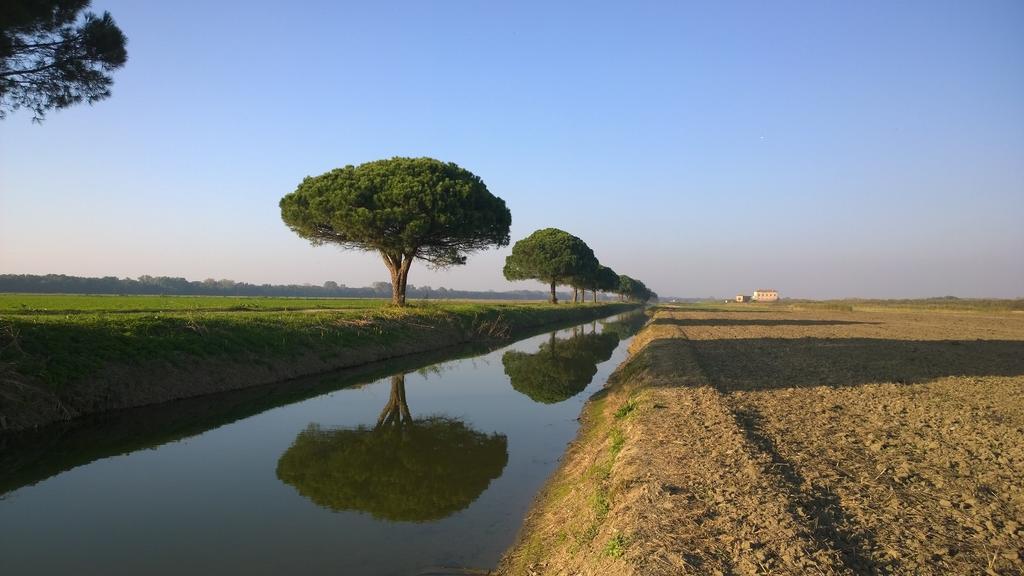 Locanda Ferrari Goro Bagian luar foto